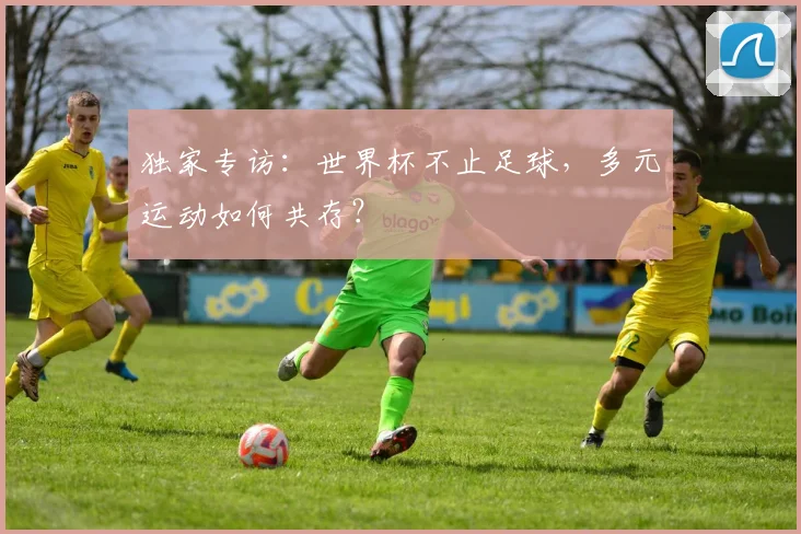 独家专访:世界杯不止足球,多元运动如何共存?