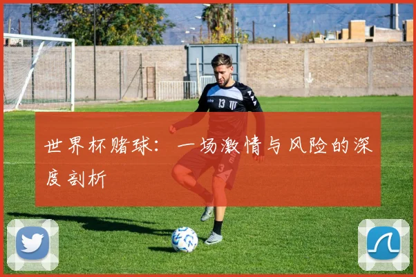 世界杯赌球：一场激情与风险的深度剖析