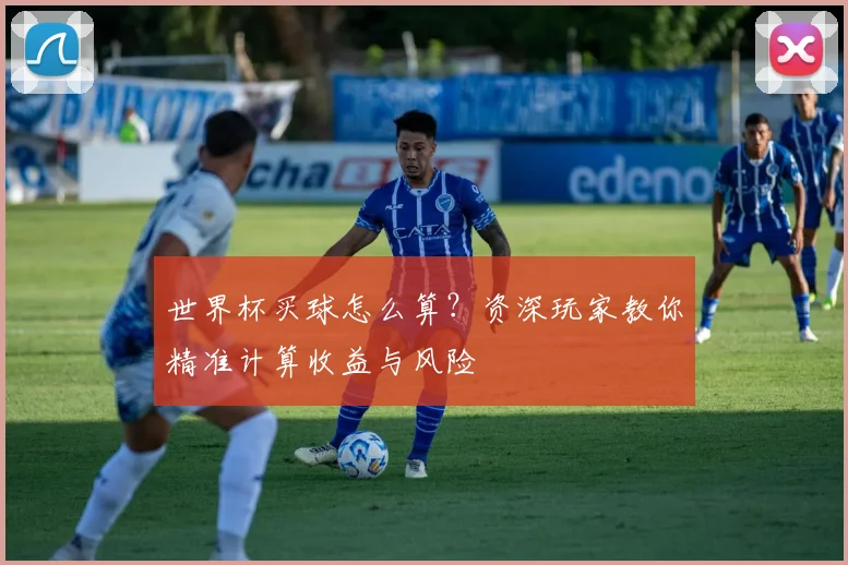 世界杯买球怎么算?资深玩家教你精准计算收益与风险
