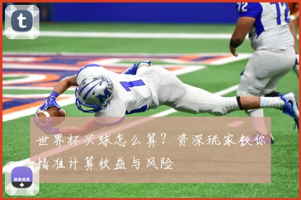 世界杯买球怎么算?资深玩家教你精准计算收益与风险