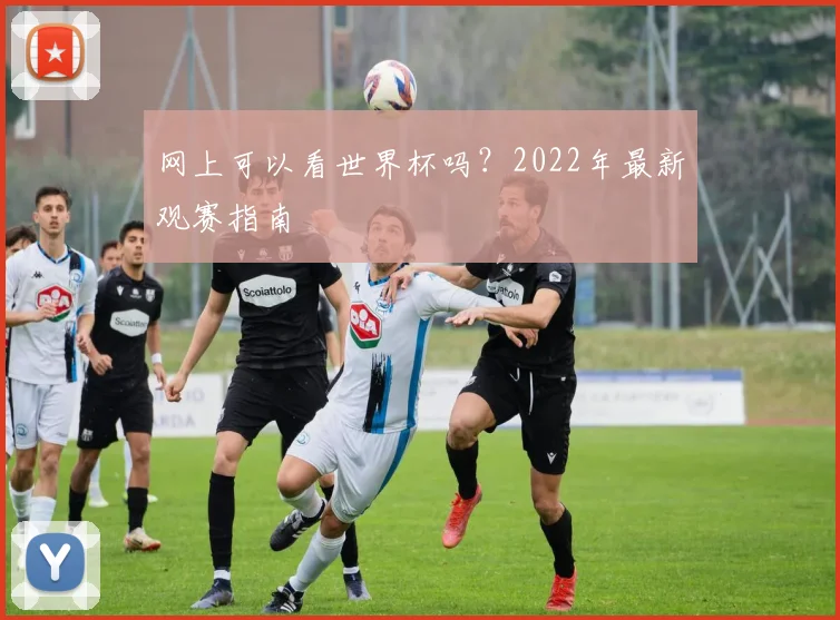 网上可以看世界杯吗?2022年最新观赛指南