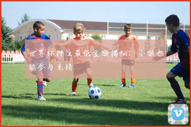 世界杯押注最低金额揭秘:小额也能参与竞猜