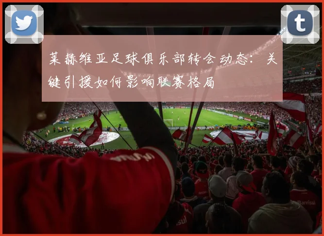 莱赫维亚足球俱乐部转会动态：关键引援如何影响联赛格局