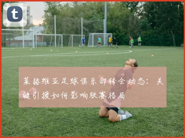 莱赫维亚足球俱乐部转会动态：关键引援如何影响联赛格局