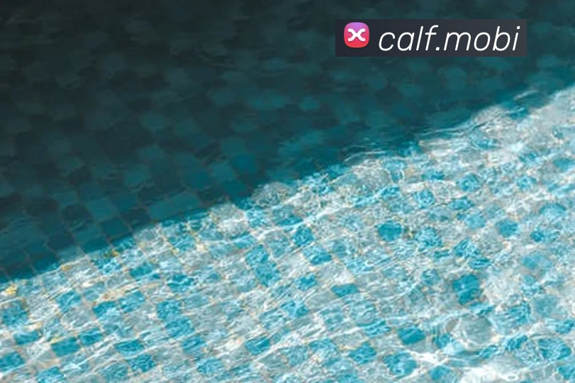 App Interface Preview