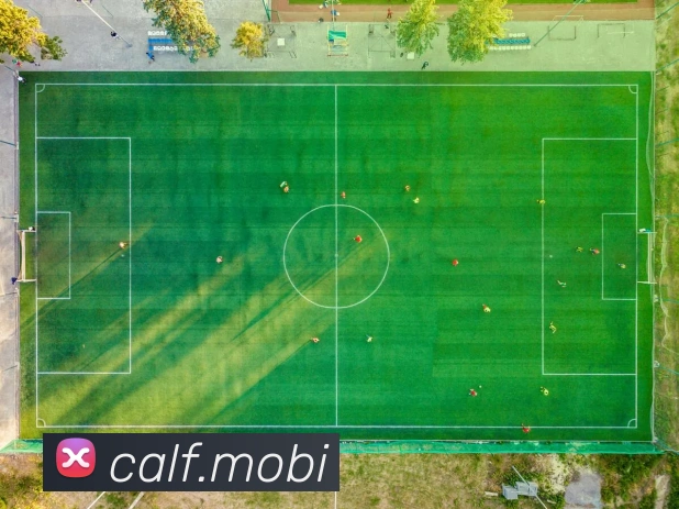 开云官方登陆入口APP 封面图